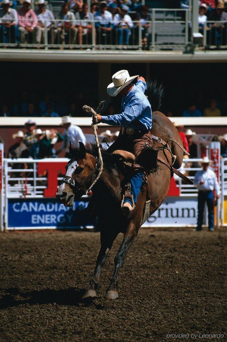 Travelodge Calgary Macleod Trail Exteriör bild